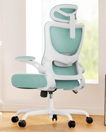 Ergonomic Office Chair: Office Computer Desk Chair with High Back Mesh and Adjustable Lumbar Support Rolling Work Swivel Task Chairs with Wheel 3D Armrests and Headrest